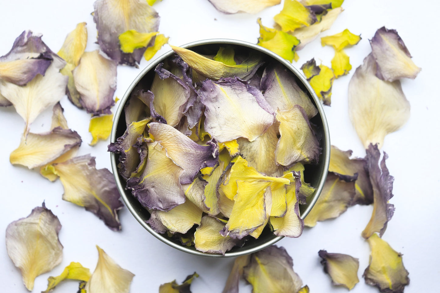 Organic Dried Edible Flower Petals - Moonlight Shadow Gladioli