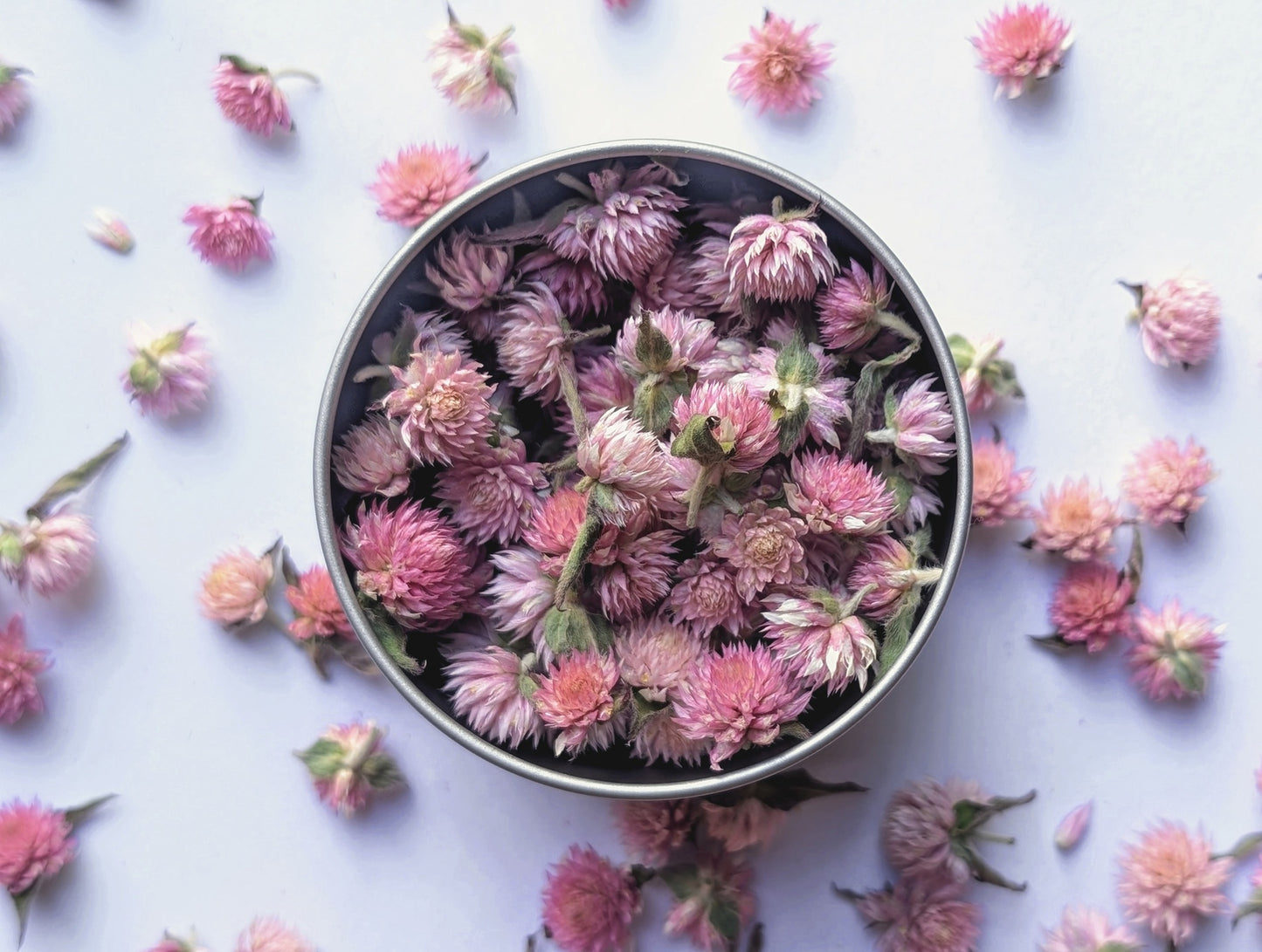 Pink Pom Poms - Dried Edible Amaranth Pom Poms
