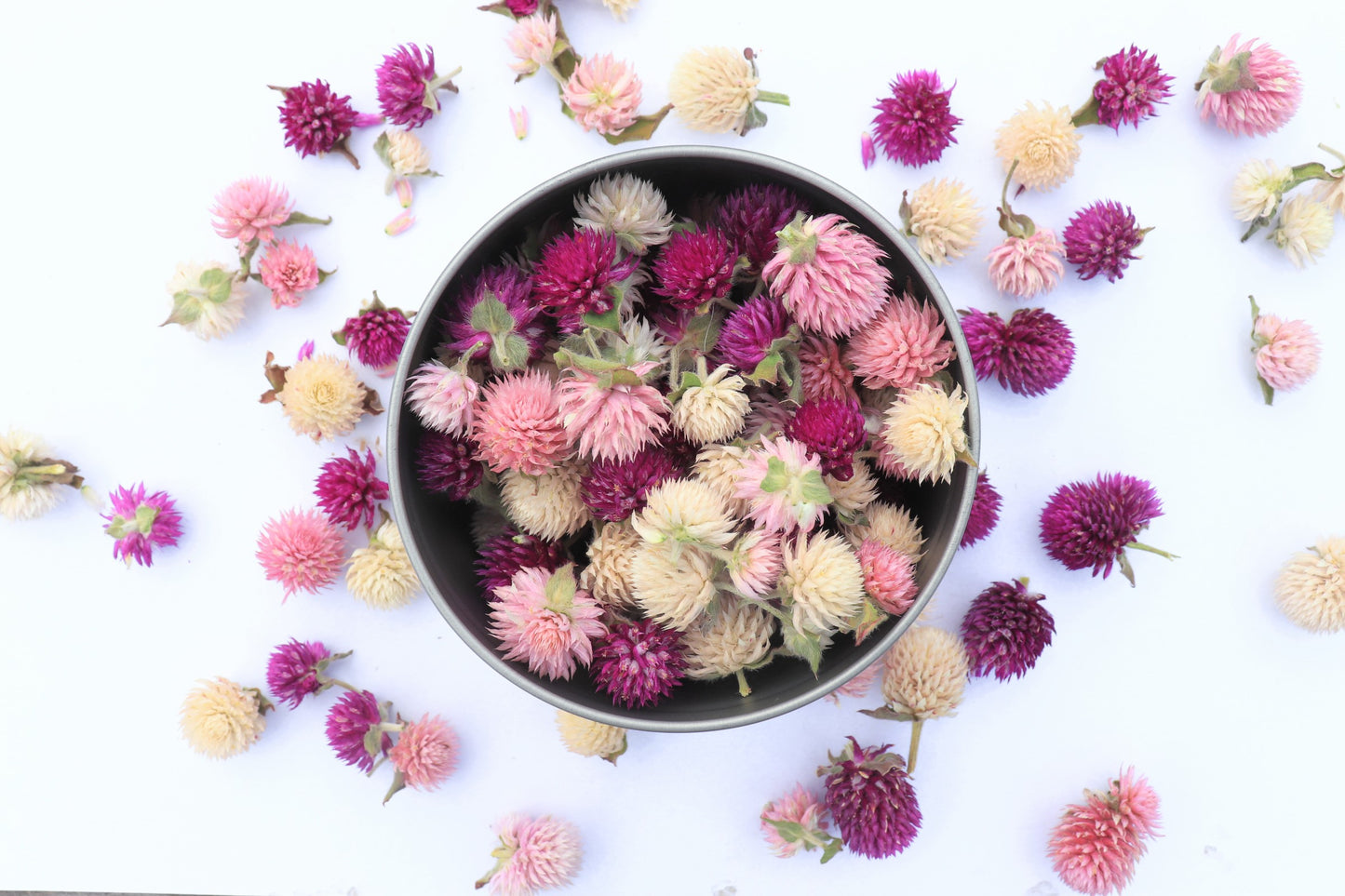 Organic Dried Edible Flower Petals - Amaranth Pom Poms