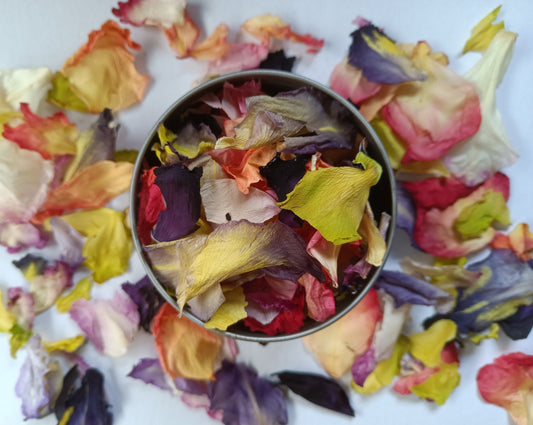 Organic Dried Edible Flower Petals - Mixed Colour Gladioli Edible Flower Petals