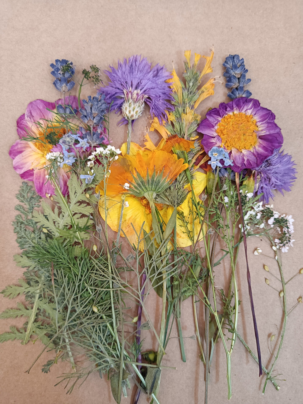 Organic Pressed Edible Flowers 20 Piece Pack Aweside Farm