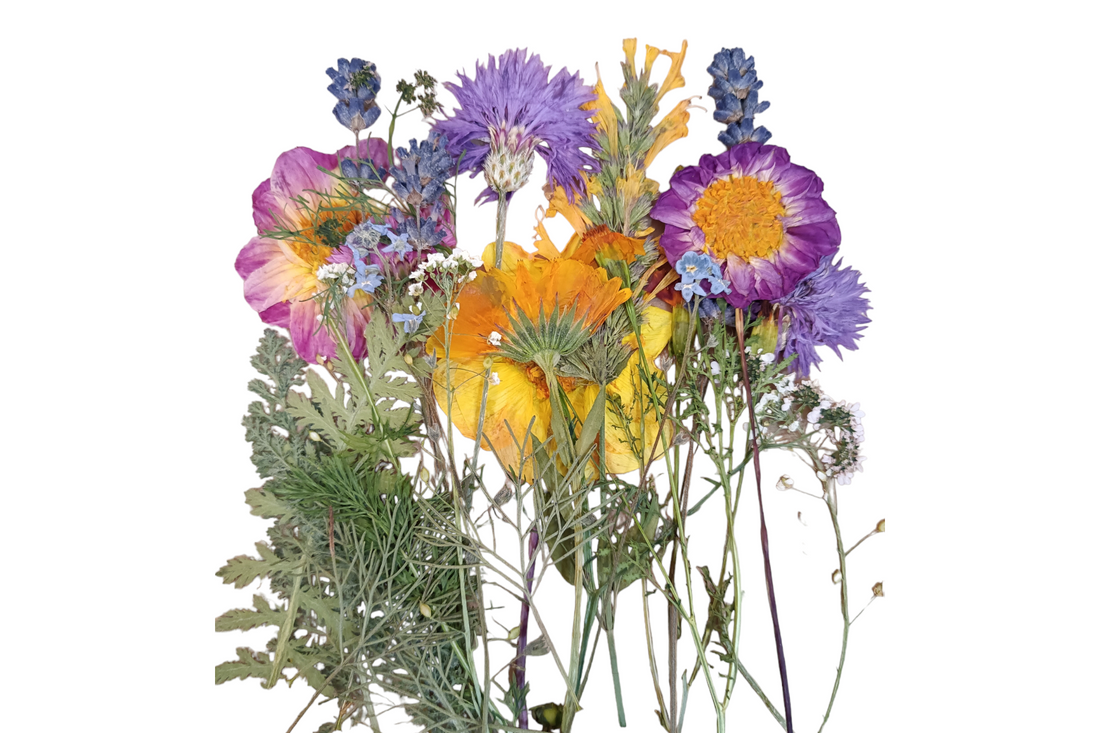 Organic Pressed Edible Flowers 20 Piece Pack Aweside Farm
