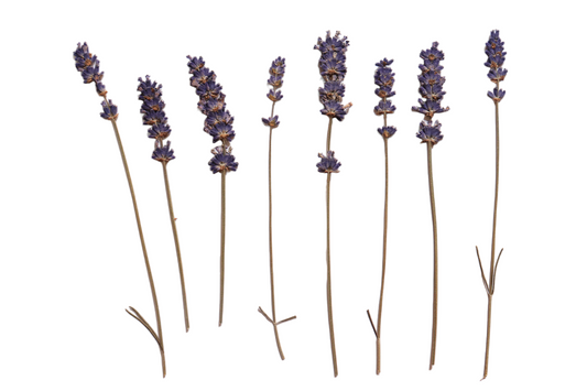 Organic Pressed Edible Flowers - Lavender