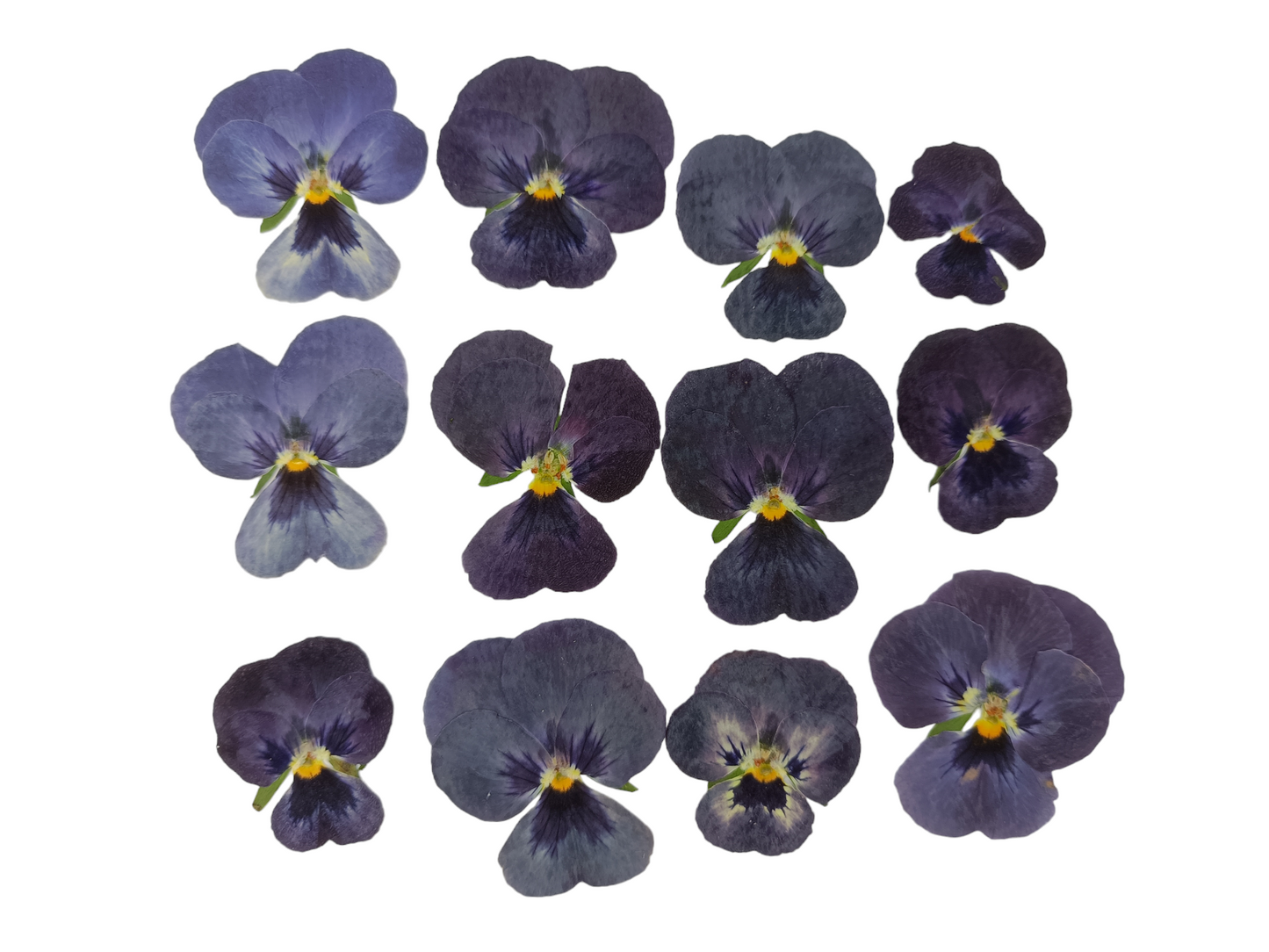 Organic Pressed Edible Flowers - Deep Burgundy Viola Flowers