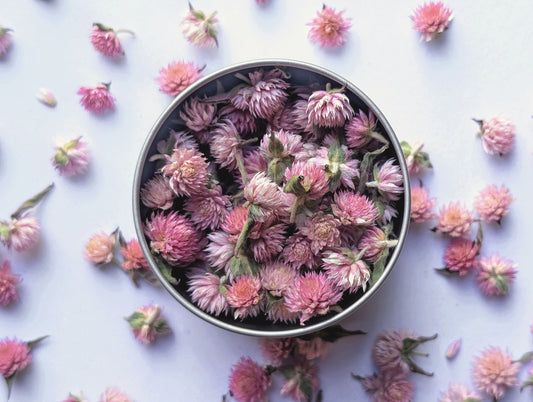 Pink Pom Poms - Dried Edible Amaranth Pom Poms
