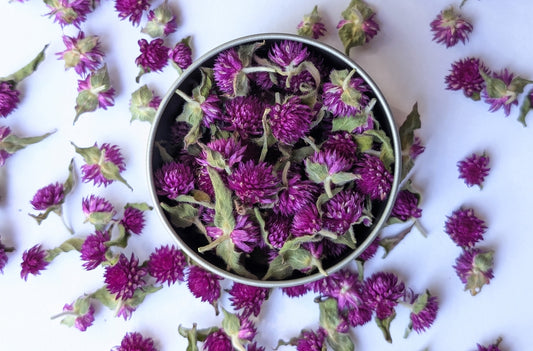 Plum Pom Poms – Dried Edible Amaranth Pom Poms