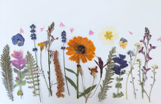 Summer Pressed Edible Flowers – 20 Pieces