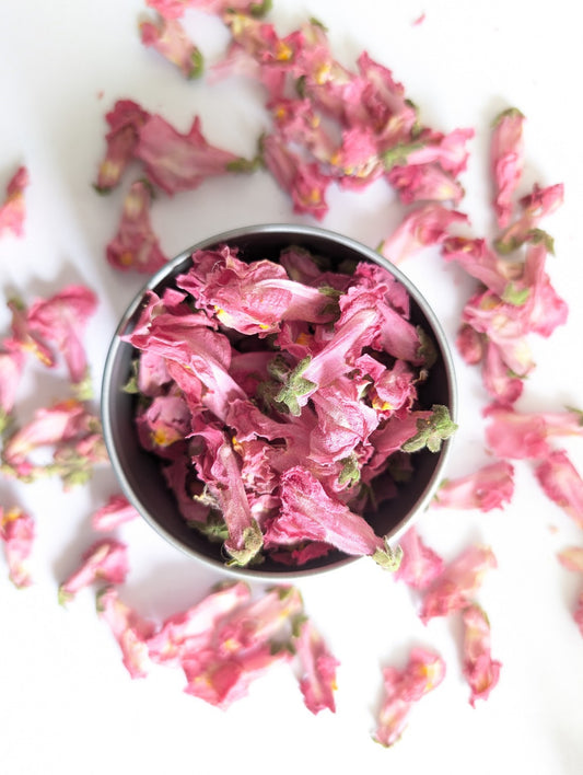 Punchy Pink Snapdragons - Dried Edible Flowers