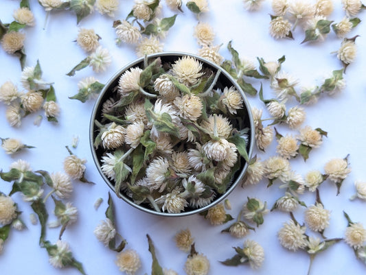 Snowdrop Pom Poms – Dried Edible Amaranth Pom Poms